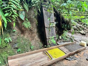 Detectan tres túneles de minería ilegal en zona rural de Santa Rosa de Cabal