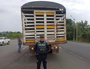 Incautan 18 bovinos en operativo de control en Santa Rosa de Cabal