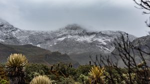 Anuncian cierre temporal del Parque Nacional Natural Los Nevados por labores de conservación