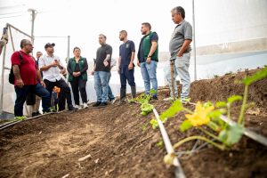 Santa Rosa de Cabal fortaleció su educación rural con invernadero que impulsa el futuro productivo de sus estudiantes
